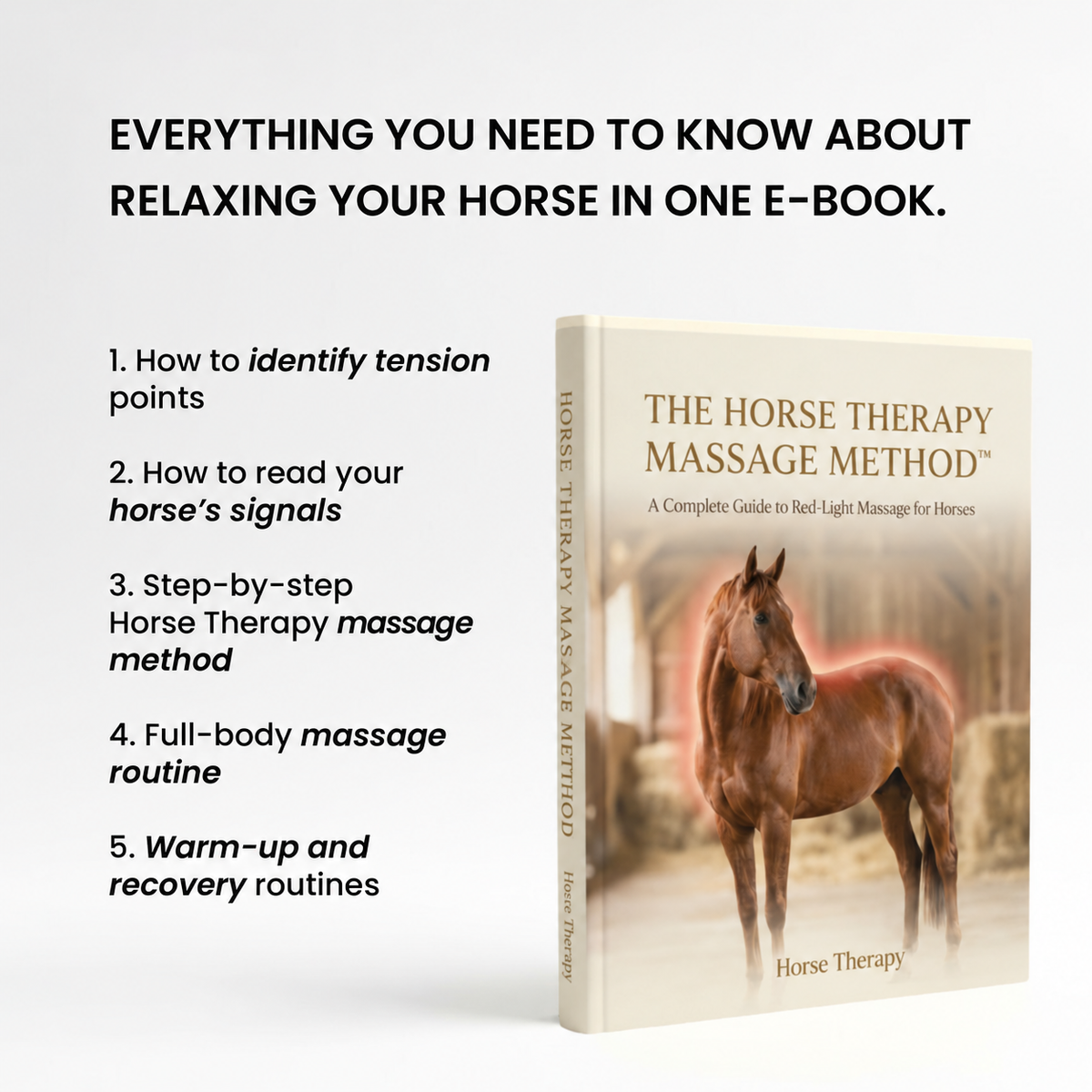 Horse Therapy Massage Method guide contents
