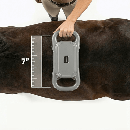 Horse Therapy™ 8 Heads Red Light Massage Gun