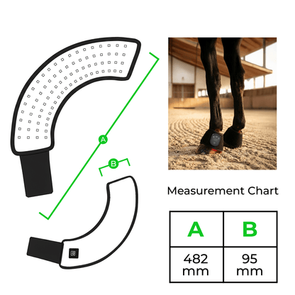 Horse Therapy™ HaloLegs Mini