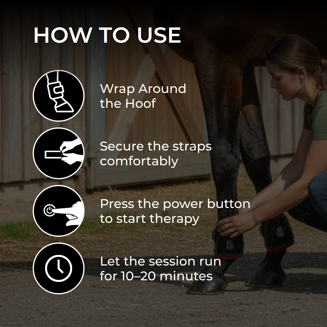 Horse Therapy™ HaloLegs Mini