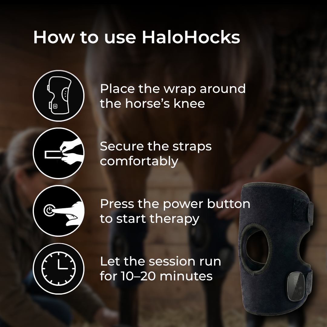Horse Therapy™  HaloHocks