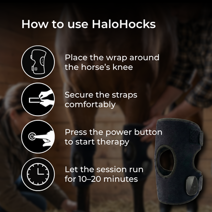 Horse Therapy™  HaloHocks