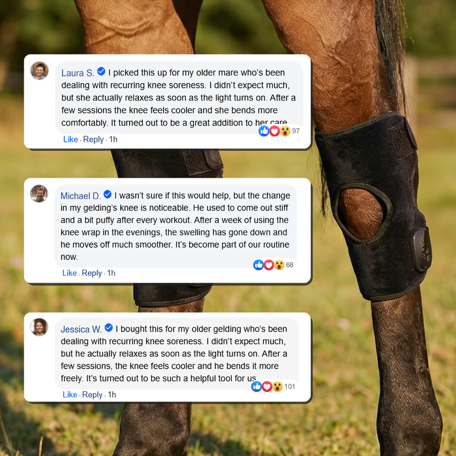 Horse Therapy™ HaloHocks