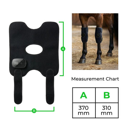 Horse Therapy™  HaloHocks