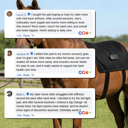 Horse Therapy™ HaloBack