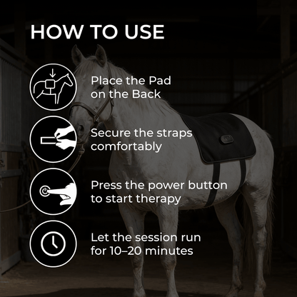Horse Therapy™ HaloBack