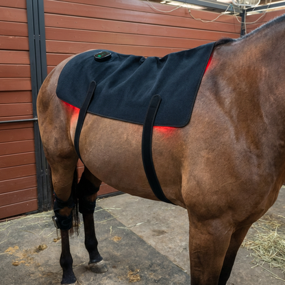 Horse Therapy™ HaloBack