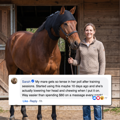 Horse Therapy™ HaloHead