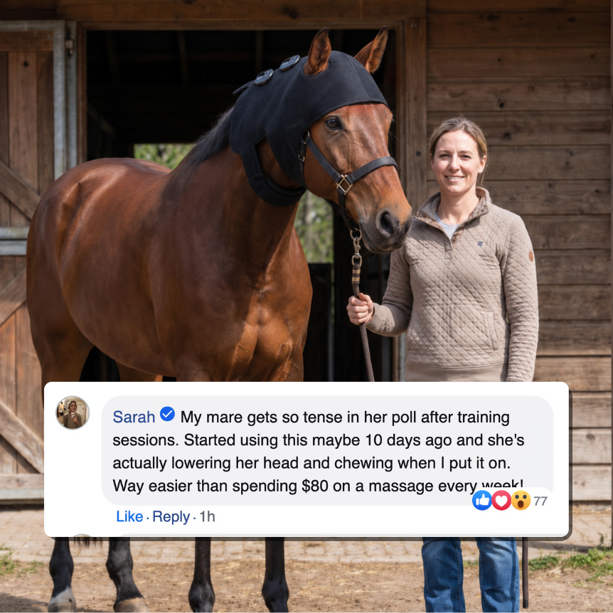 Horse Therapy™ HaloHead
