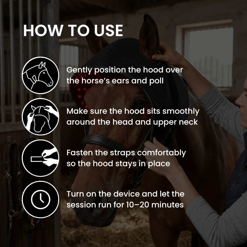 Horse Therapy™ HaloHead