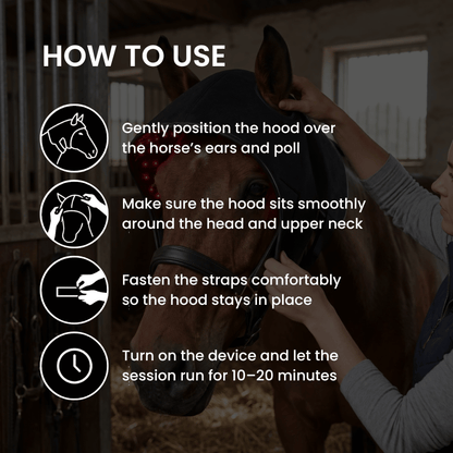 Horse Therapy™ HaloHead