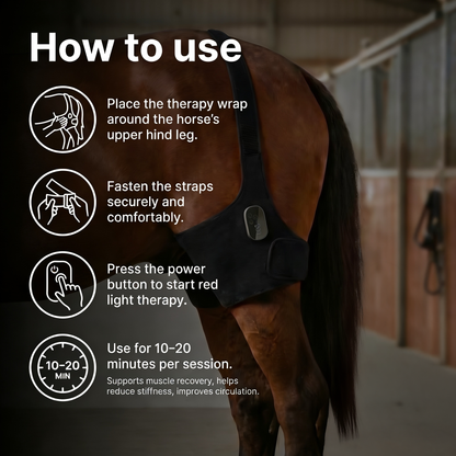 Horse Therapy™ HaloHind