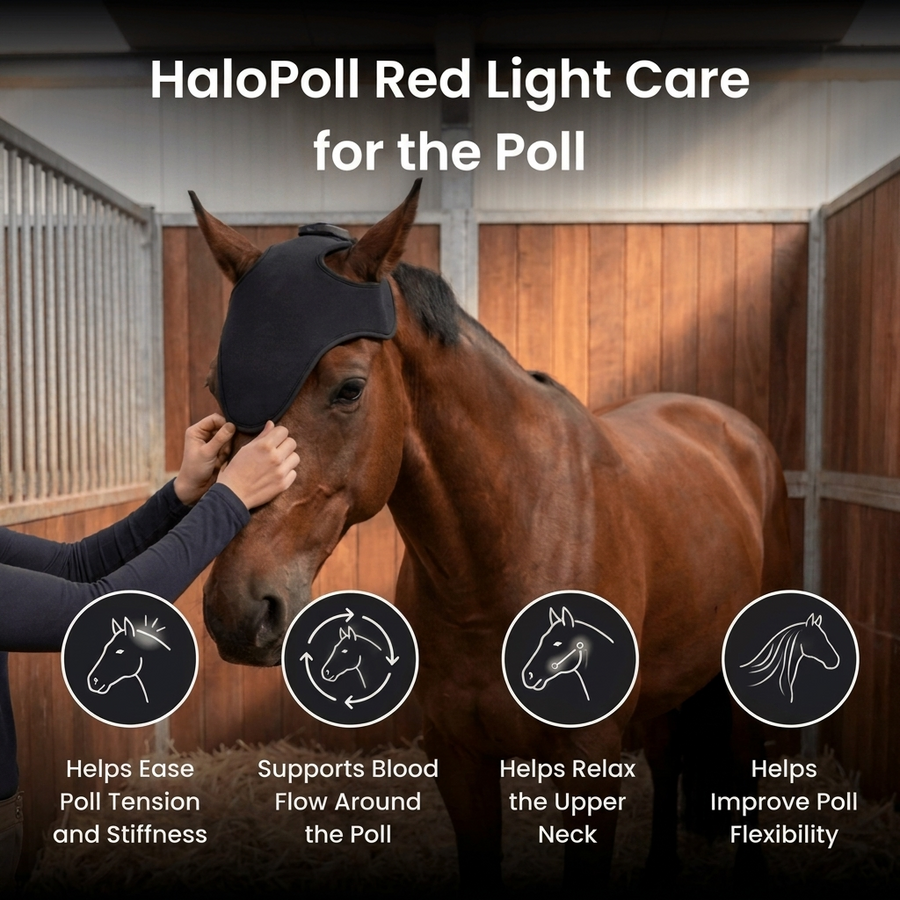 Horse Therapy™ HaloPoll