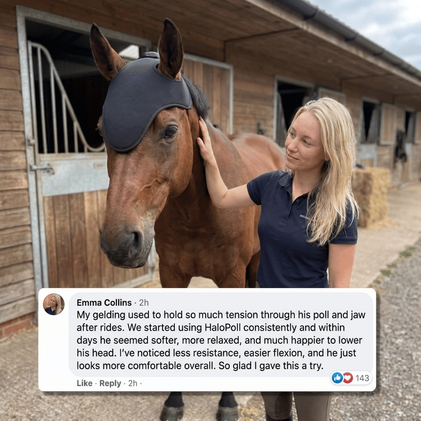 Horse Therapy™ HaloPoll